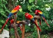 Adventures  in Xel-ha or Xcaret….